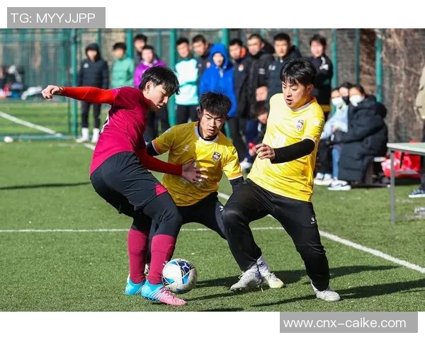 足球让分解析与策略探讨如何提升投注成功率与观赛乐趣