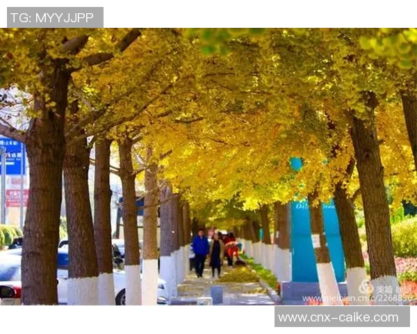 八一足球的辉煌历程与未来展望:传承精神与推动发展的双重使命 八一足球的辉煌历程与未来展望:传承精神与推动发展的双重使命